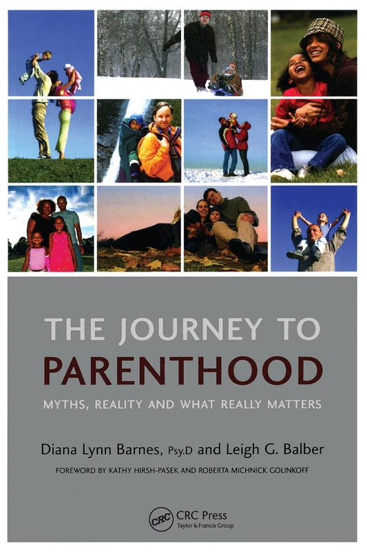 The Journey to Parenthood : Myths, Reality and What Really Matters 1st Edition