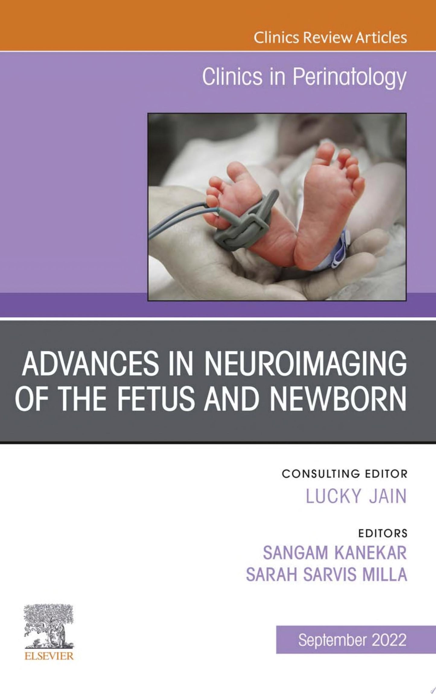 Advances in Neuroimaging of the Fetus and Newborn, An Issue of Clinics in Perinatology, E-Book