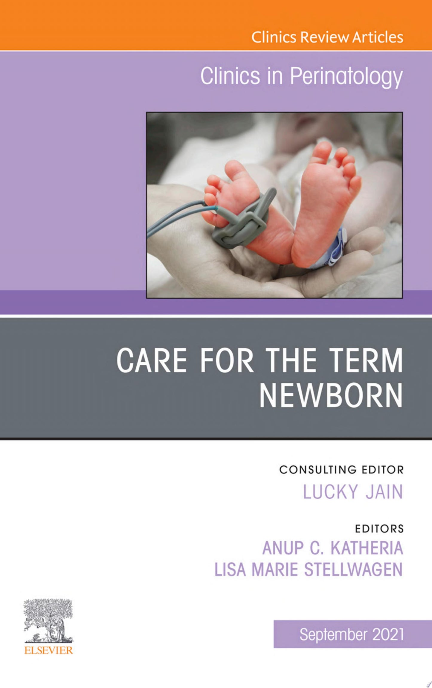 Care for the Term Newborn, An Issue of Clinics in Perinatology, E-Book